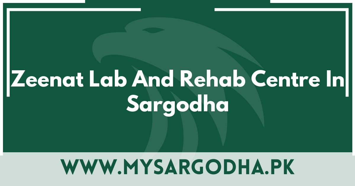 Zeenat Lab And Rehab Centre In Sargodha