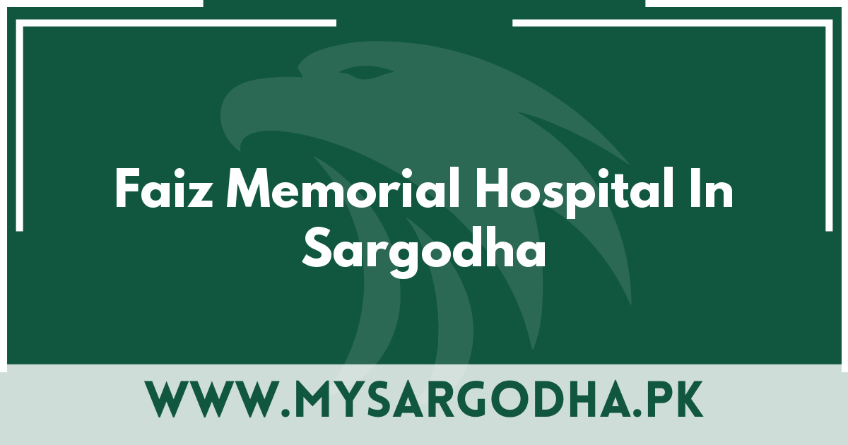 Faiz Memorial Hospital In Sargodha