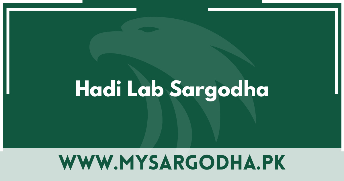 Hadi Lab Sargodha